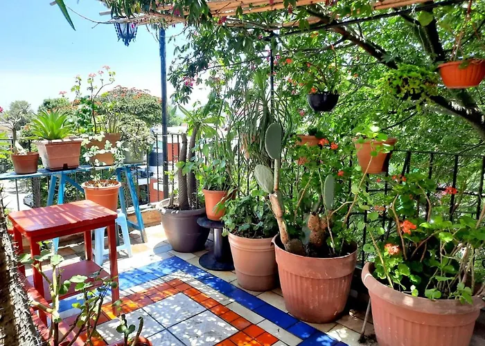 La Terraza Del Pochote