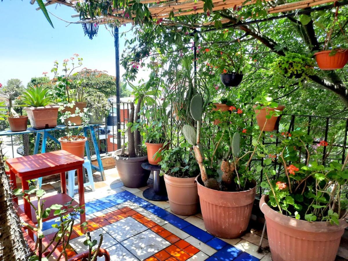 La Terraza Del Pochote *